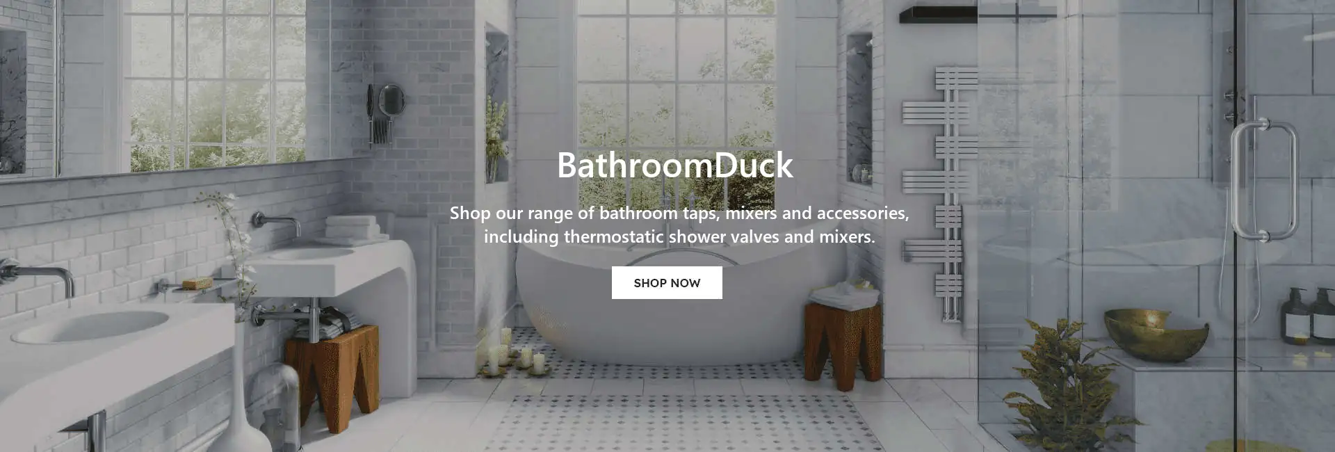 Bathroom showing taps, shower valves and accessories