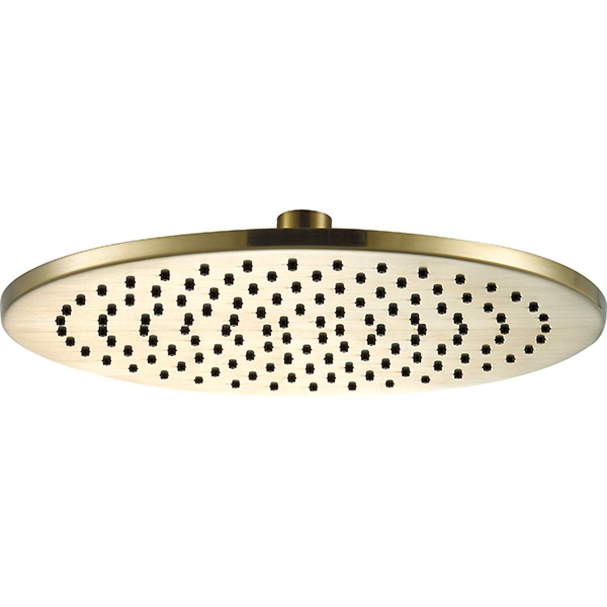 JTP Vos Brushed Brass Overhead Shower 250mm (23250BBR)