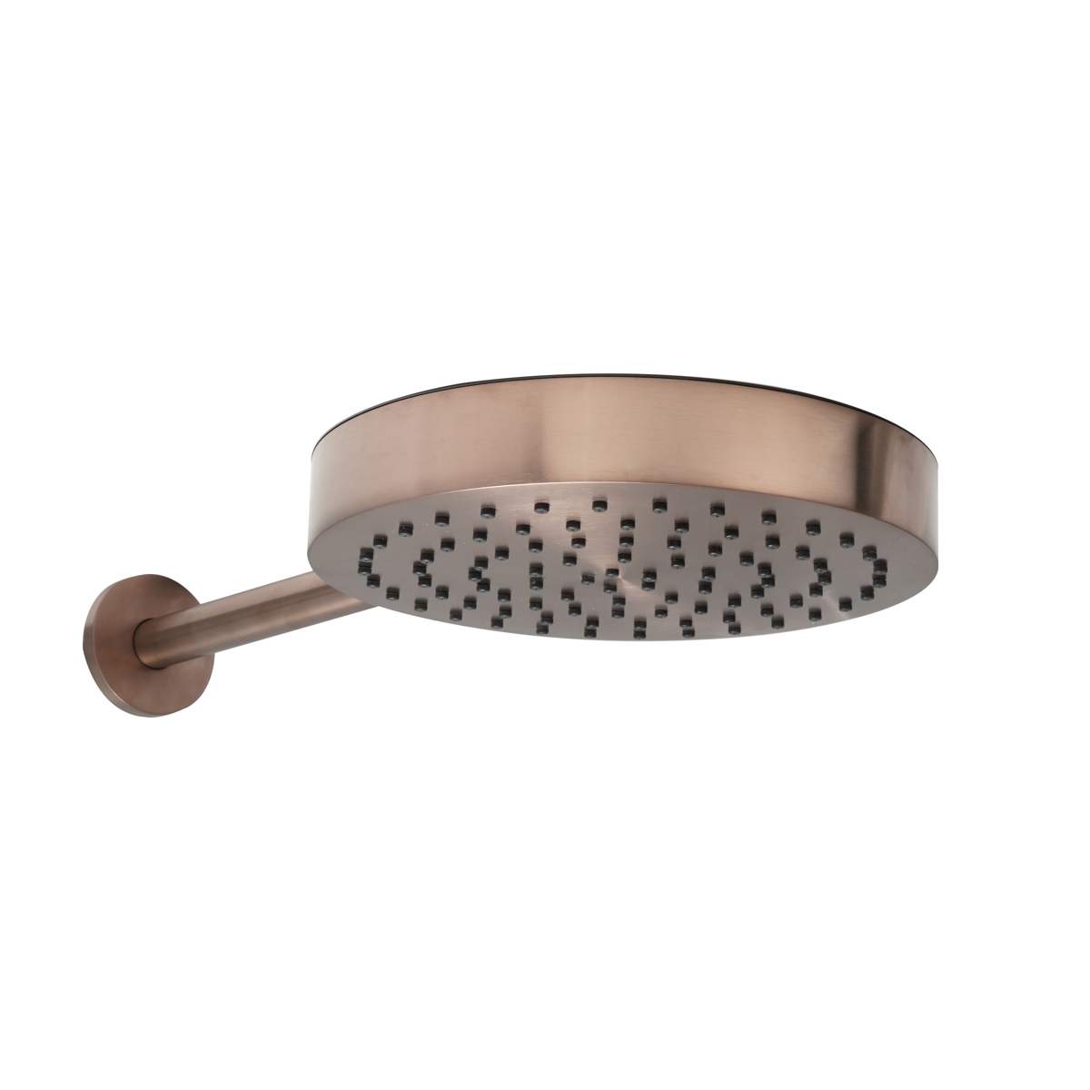 JTP Evo Brushed Bronze Shower Head and Arm