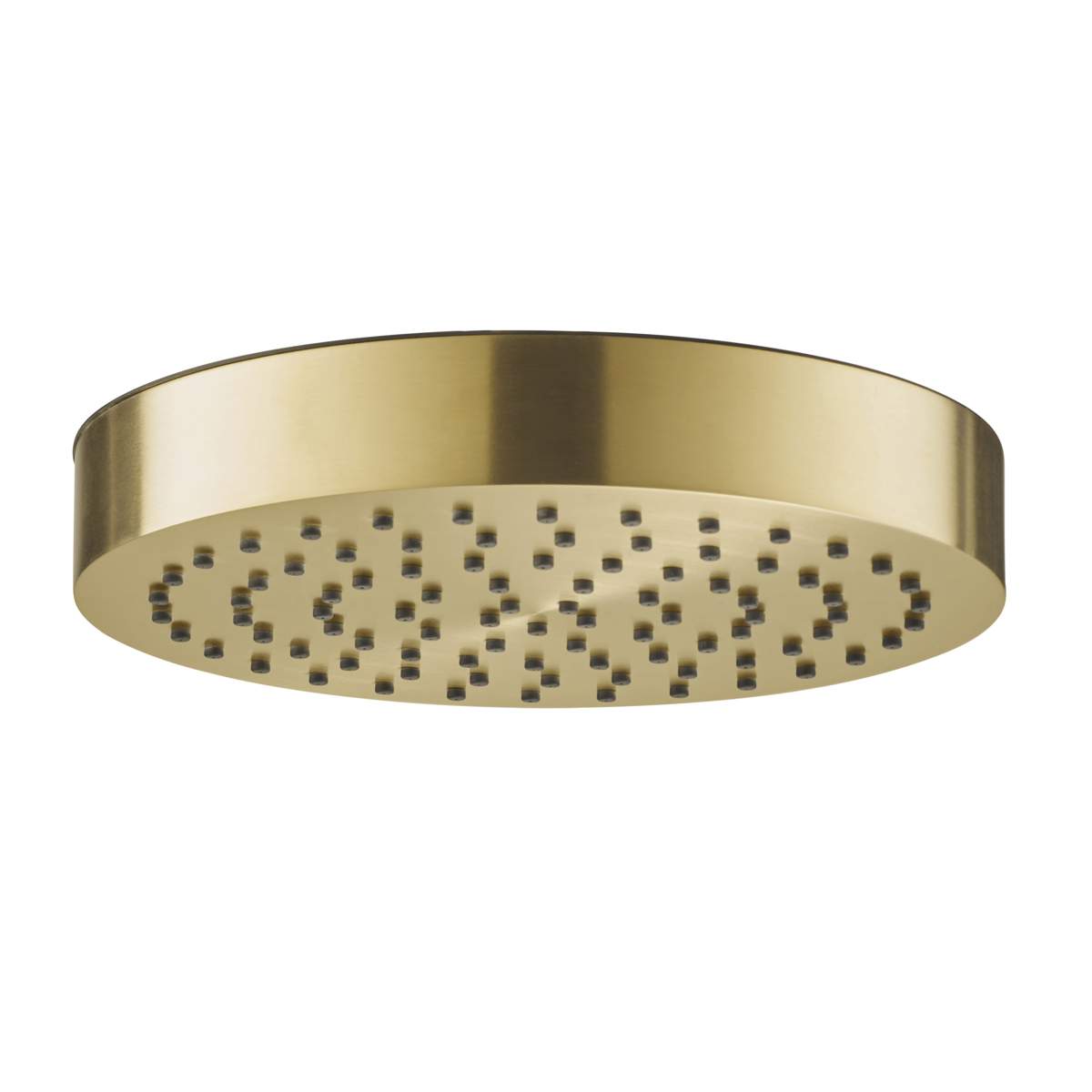 JTP Evo Brushed Brass Shower Head (63250BBR)