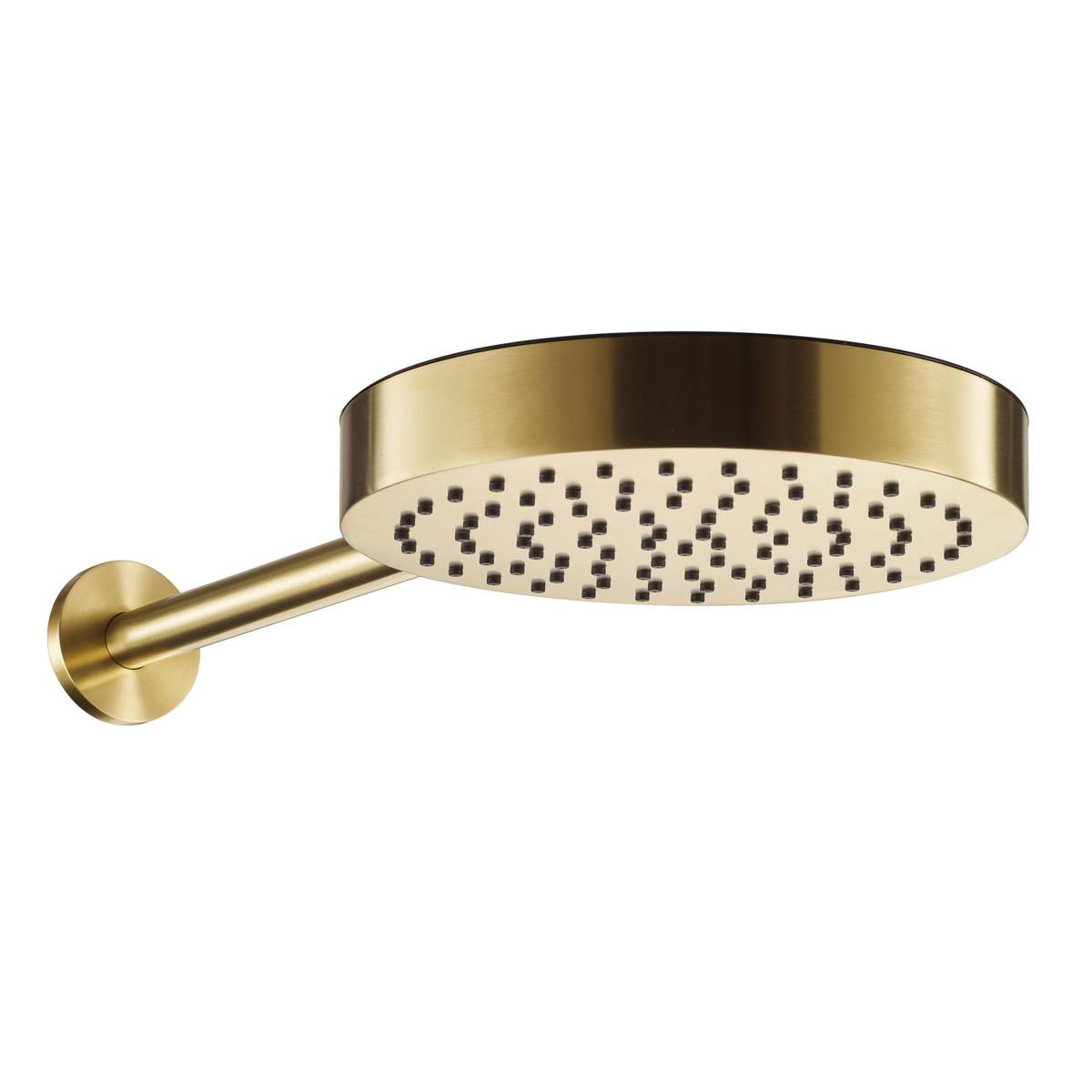 JTP Evo Brushed Brass Shower Head and Arm (63400250BBR)